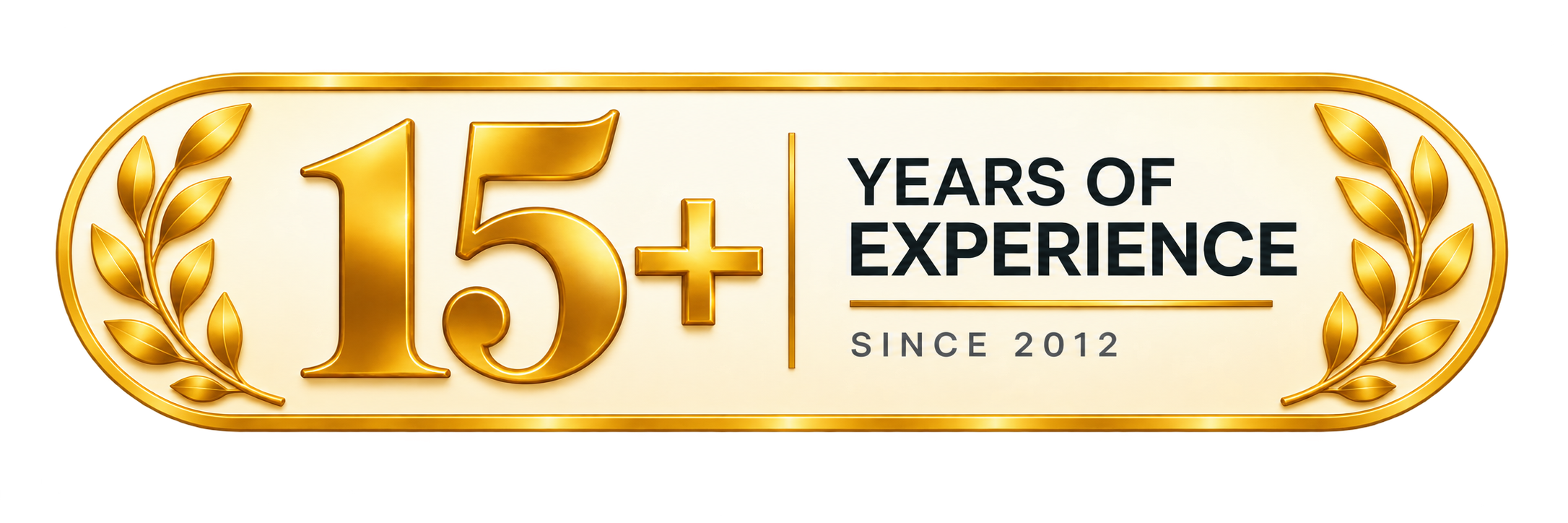 10+ Years Experience